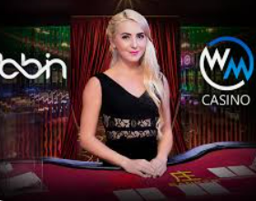 新葡萄(8883·AMG)手机版